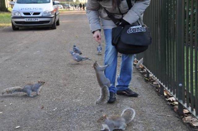 Londra