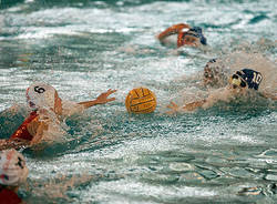 pallanuoto varese fiorentina Foto Cottini/Sportlight
