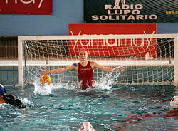 pallanuoto varese fiorentina Foto Cottini/Sportlight
