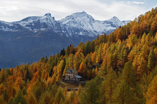 rifugio Cai Alpe Solcio