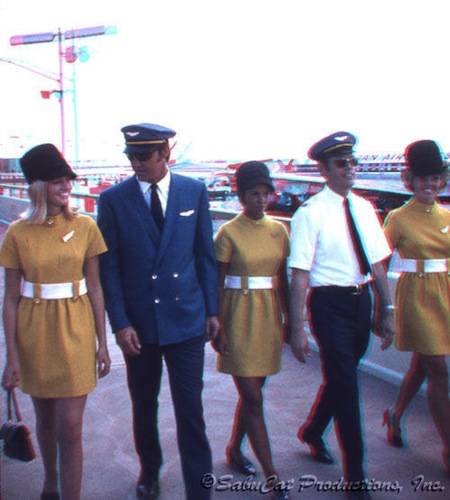 the stewardesses