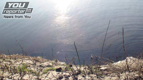 animali lambro galleria