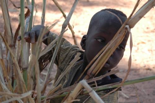 Bambini nel mondo: foto di silvano moroni 
