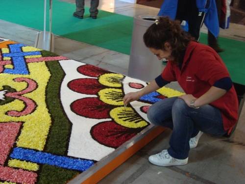 bit 2010