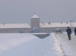 Gaia Croce Auschwitz