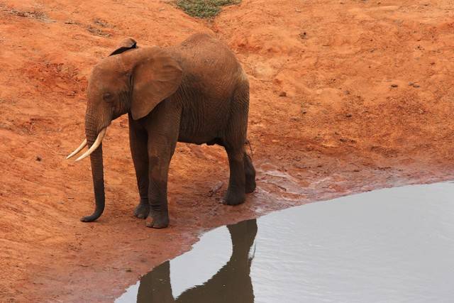 Kenya