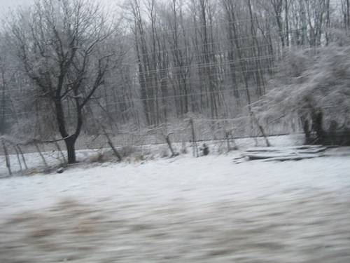 Neve 2010
