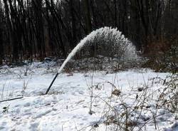 pozzo Moriggia Caianiello