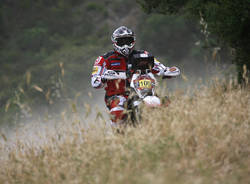 CF Racing motocross 2010
