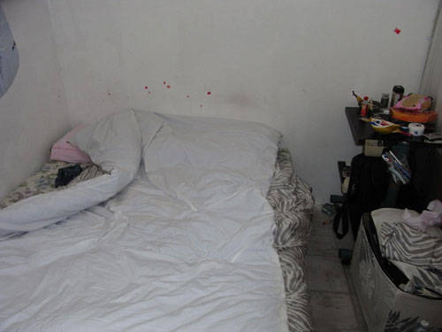 guardia di finanza lavoro controlli busto