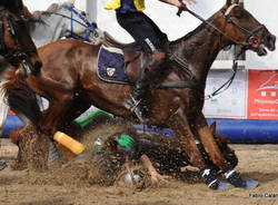 horse ball malpensacavalli