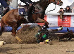 horse ball malpensacavalli
