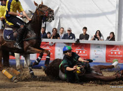 horse ball malpensacavalli