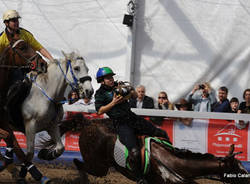 horse ball malpensacavalli