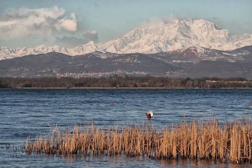 Il Monte Rosa dal Lago di Varese