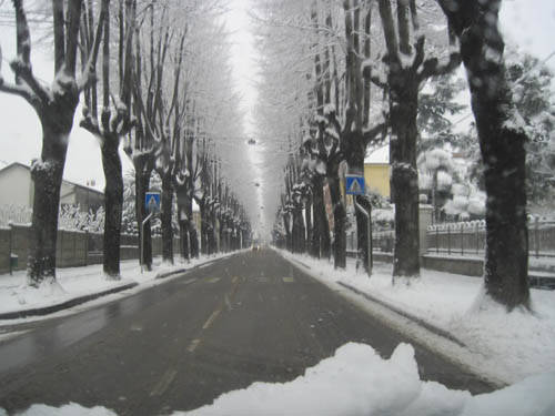 neve marzo 2010