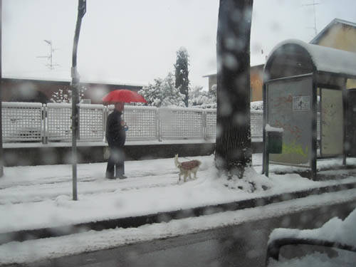 neve marzo 2010