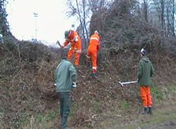 parco pineta volontari lambro