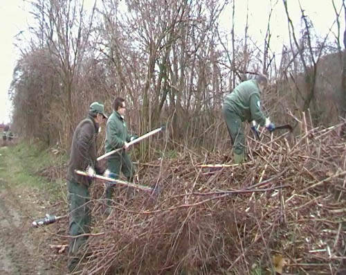 parco pineta volontari lambro