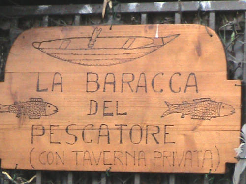 pesca siluro galleria