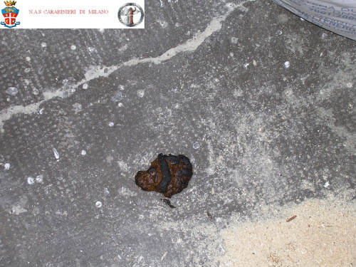 rosticceria le volte busto arsizio nas carabinieri sequestro