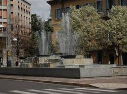 busto arsizio fiori piazza santa maria primavera