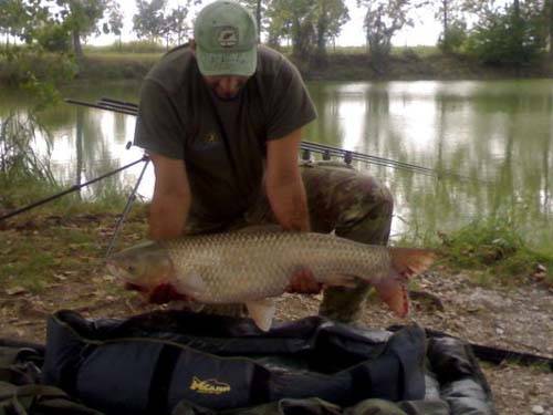 carpe giganti tratte da un sito di carpfishing