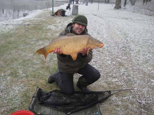 carpe giganti tratte da un sito di carpfishing