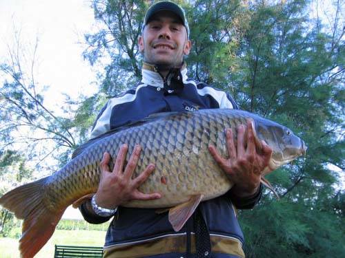 carpe giganti tratte da un sito di carpfishing