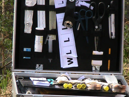 creva auto valentini galleria