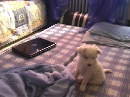 omicidio dean catic un anno dopo