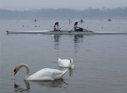 regata canottaggio schiranna marzo 2010