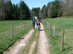 road to wellness turismo pista ciclabile