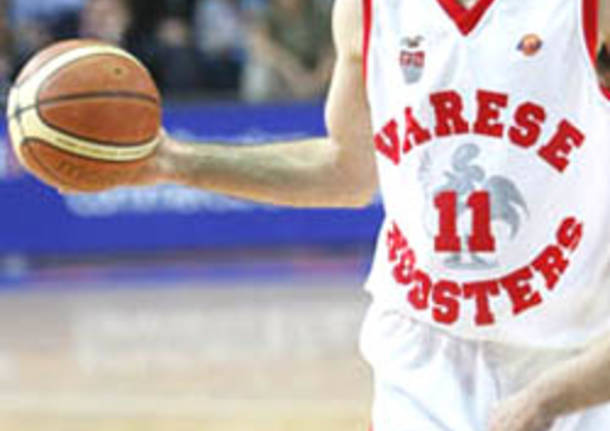 varese roosters basket prima apertura nuova