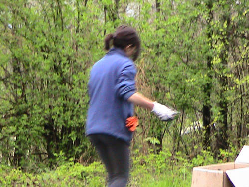 verde pulito 2010