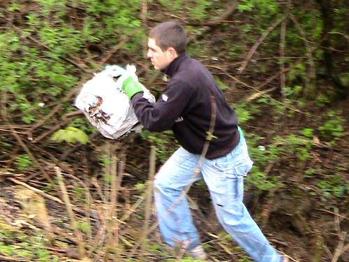 verde pulito 2010