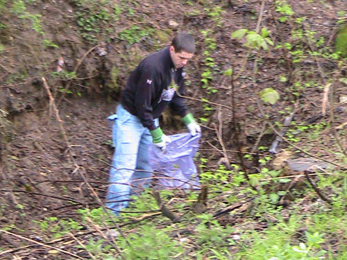 verde pulito 2010