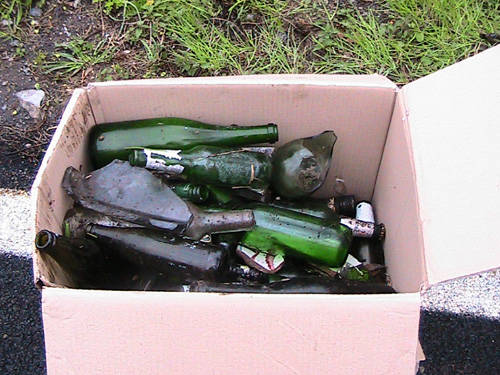 verde pulito 2010