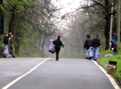 verde pulito 2010
