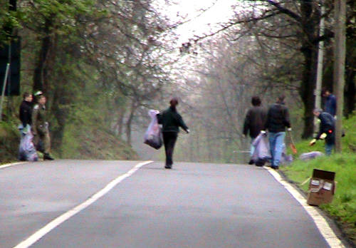 verde pulito 2010