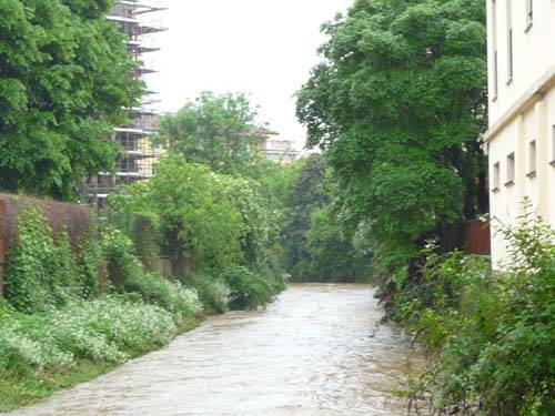 arnetta gallarate