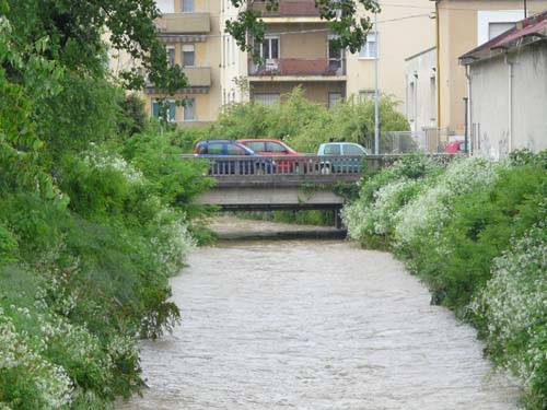 arnetta gallarate