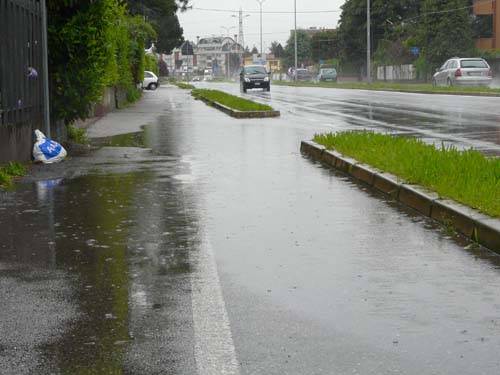 arnetta gallarate