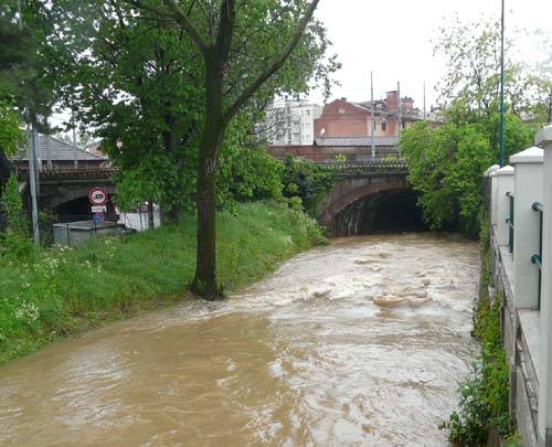 arnetta gallarate