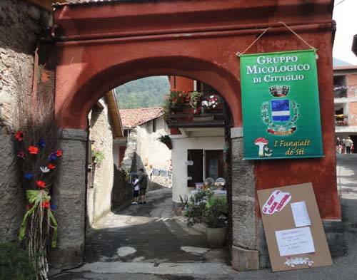 corni e pecc 2010