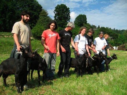 corni e pecc cittiglio