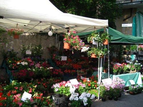 corni e pecc cittiglio