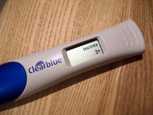 elisabetta cacioppo, facebook