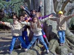 i bambini fotografano i bambini scuola parini varese