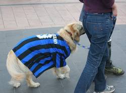 inter scudetto festa varese